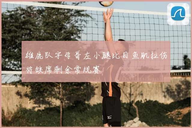 雄鹿队字母哥左小腿比目鱼肌拉伤将缺席剩余常规赛