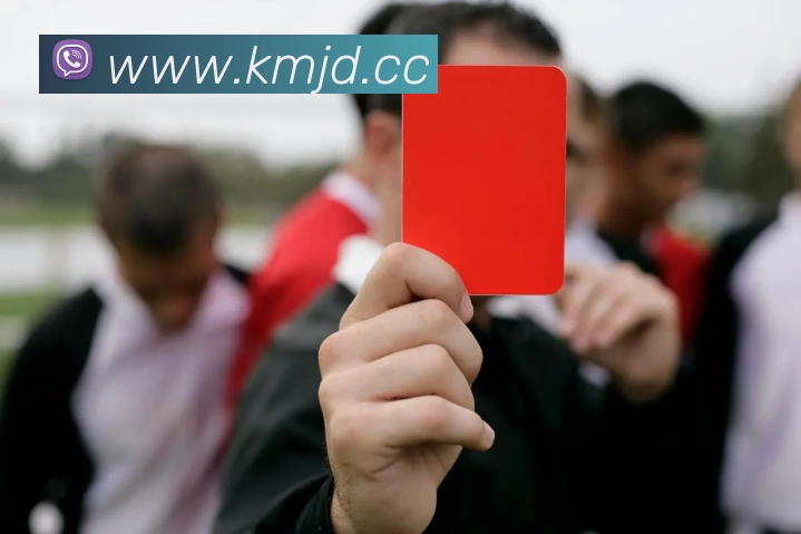 开云(中国)Kaiyun·官方网站 - 登录入口平台生态图